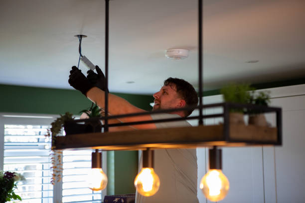 Best Electric Panel Repair  in Hamburg, AR